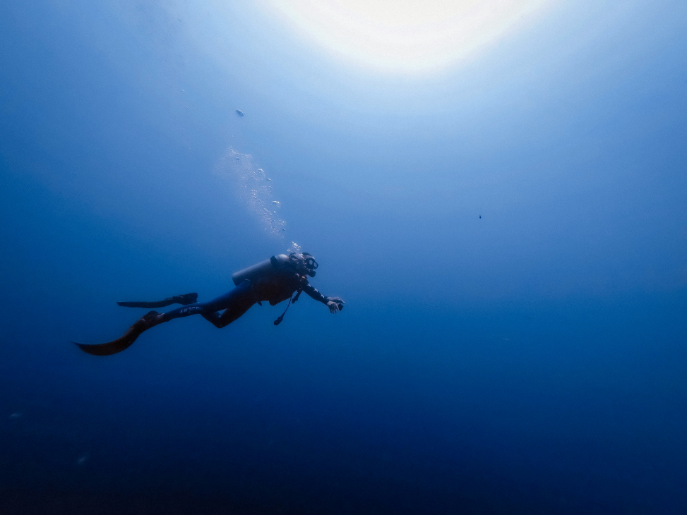 Are You a Diver? Use a Rolex Submariner! Plus More Top Picks for Dive Watches